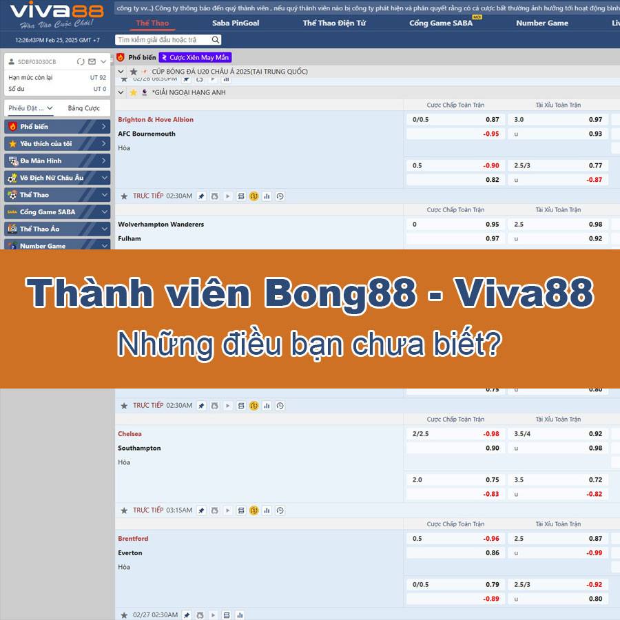 Thành viên Bong88 - Những điều có thể bạn chưa biết?